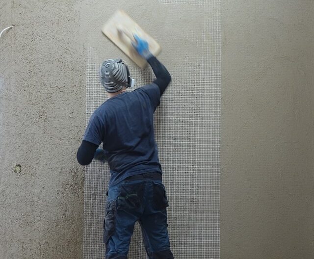 Lime plaster reinforcement